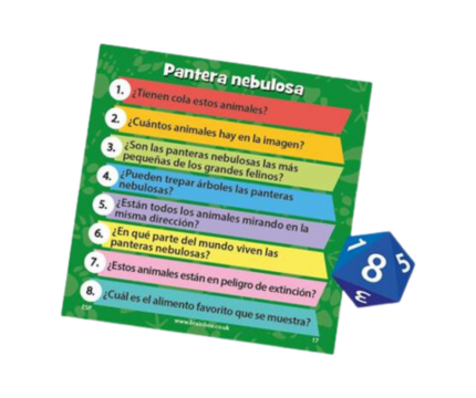 Brainbox Animales