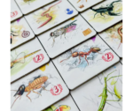 Tras los Pasos de Darwin