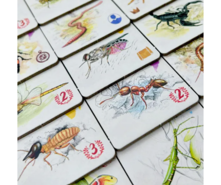 Tras los Pasos de Darwin