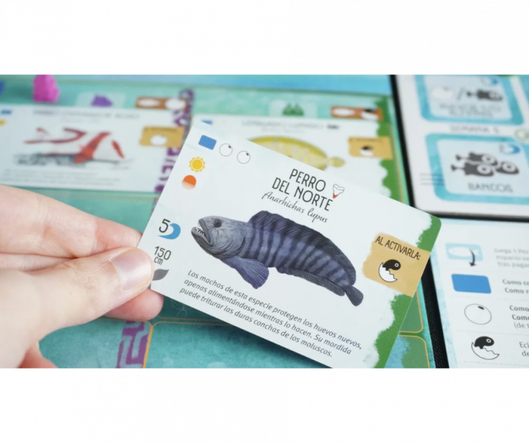 Finspan con Upgrade Pack