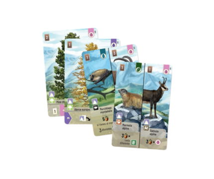 Forest Shuffle Cumbres Alpinas