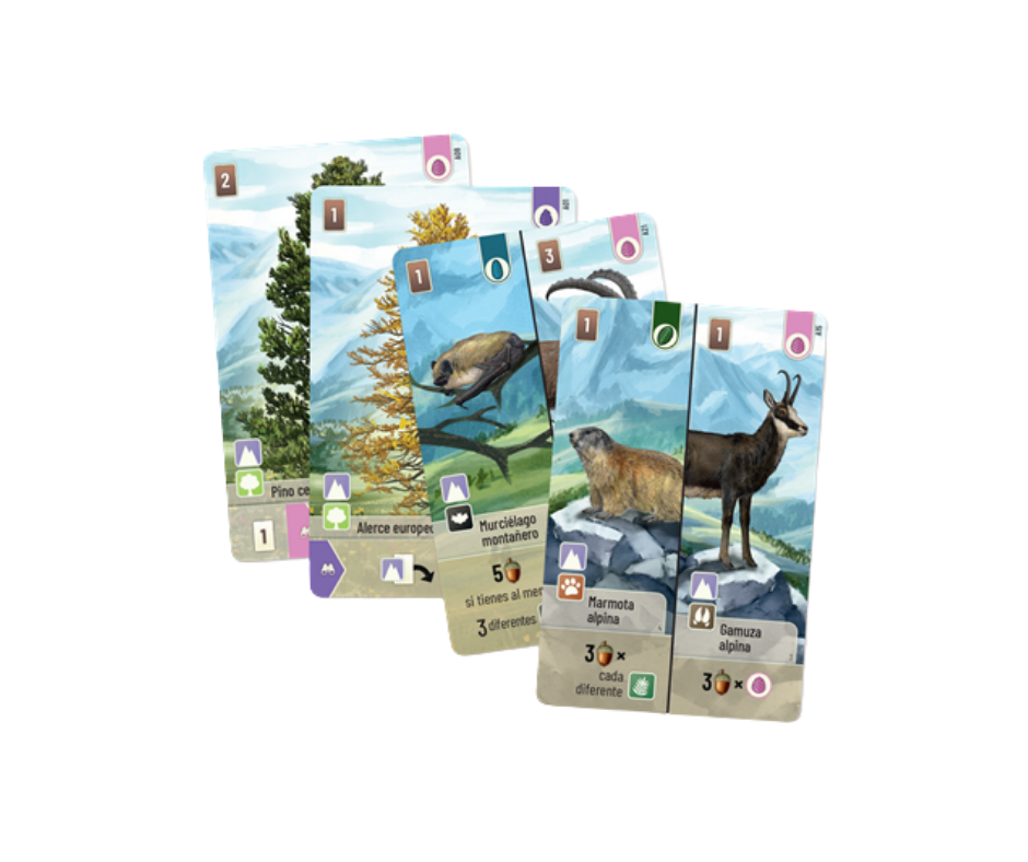 Forest Shuffle Cumbres Alpinas