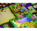 Paddy